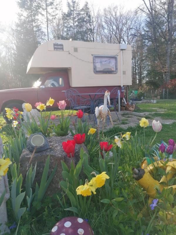 La Roulotte Des Trois Arbres Bed & Breakfast Oradour-sur-Glane Dış mekan fotoğraf